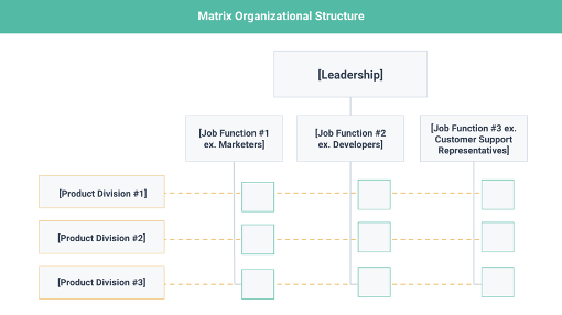 Organizational Structures Every Company Should Consider 7 Matrix Structure