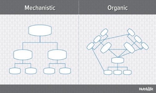 Organizational Structures Every Company Should Consider 1 Mechanistic vs. Organic Organizational Structures