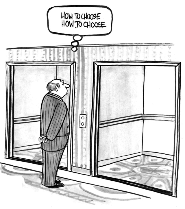 Shah Oppenheimer 2008