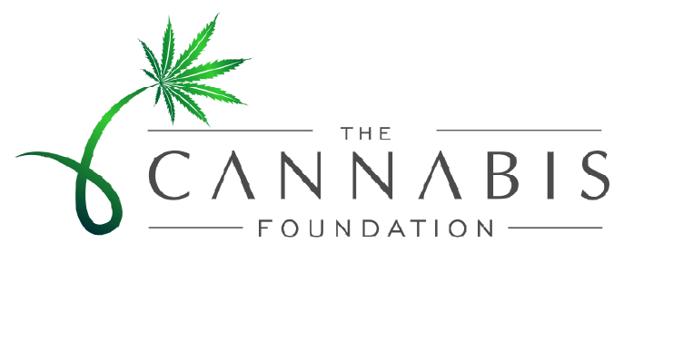 cannabis-foundation-mach1design-client-digital-marketing-agency