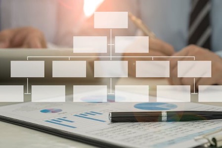 organizations structure